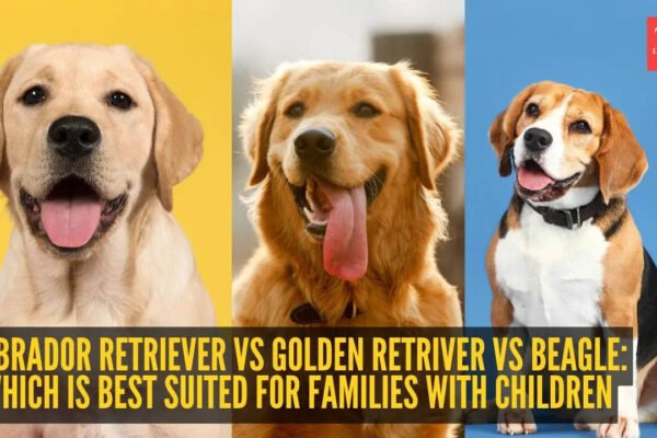 Which is best suited for families with children
