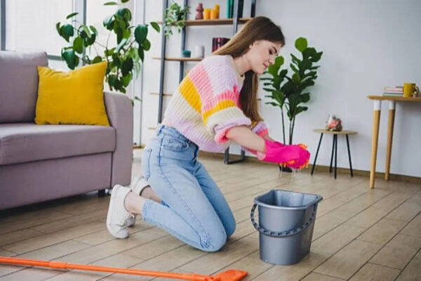 7 Natural floor cleaners that may help keep flies, ants and monsoon pests away