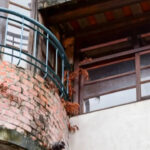 Pigeons taking over your balcony? 7 Humane ways to keep them away without causing harm