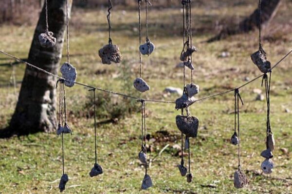 Transform your home with these 5 beautiful wind chime ideas that add charm and soothing sounds