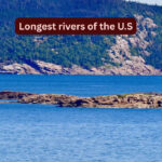 5 longest rivers in the U.S and the incredible wildlife you can spot there