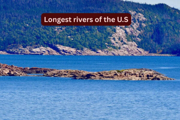 5 longest rivers in the U.S and the incredible wildlife you can spot there