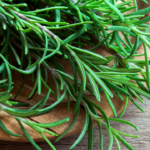 Why rosemary dies in many Indian homes, and the simple changes that can help this fragrant herb flourish instead