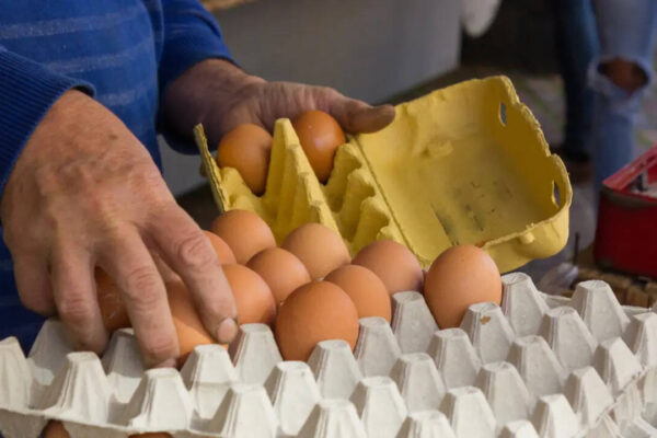 The surprising reason supermarket eggs are always stored outside in India but refrigerated in many Western countries​