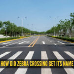 You've crossed it countless times, but do you know why it's called a zebra crossing?