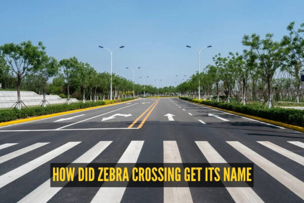 You've crossed it countless times, but do you know why it's called a zebra crossing?