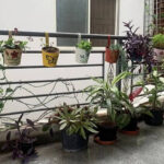 5 DIY ways to turn it into a vertical garden