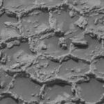 NASA's curiosity rover spots mysterious honeycomb pattern on Mars, leaving scientists puzzled over its origin