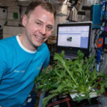 NASA has grown plants in space for years: New research says the next step is growing medicines, starting with a tobacco and a virus