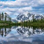 How to protect yourself around dangerous North American wild animals: Essential safety tips for your national park visit
