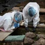 Ireland has recovered the remains of 99 infants from the former Tuam mother and baby home; DNA analysis may help restore some of their identities