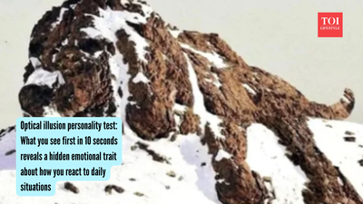 Optical illusion personality test: What you see first in 10 seconds reveals a hidden emotional trait about how you react to daily situations