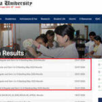 Osmania University declares UG CBCS May 2026 results for regular and backlog examinations; download here