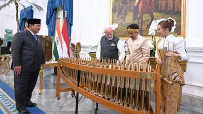 Another 'Kuch Kuch Hota Hai' moment in Indonesia as PM Modi, Prabowo try angklung - watch