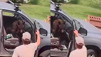 Man opens truck door to find a bear sitting in the front seat; what he did next leaves internet amazed |