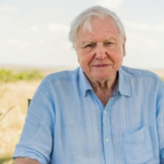 Quote of the day by David Attenborough: "No one will protect what they don't care about; and no one will care about..."