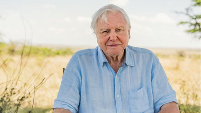Quote of the day by David Attenborough: "No one will protect what they don't care about; and no one will care about..."