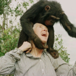 Quote of the day by Jane Goodall: Why "Even that great scientist Albert Einstein sustained a mystical outlook on life" reminds us that wonder and humility go hand in hand
