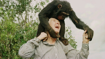 Quote of the day by Jane Goodall: Why "Even that great scientist Albert Einstein sustained a mystical outlook on life" reminds us that wonder and humility go hand in hand