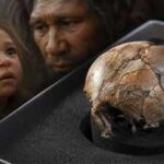 Rare Neanderthal baby fossil reveals our ancient relatives may have begun life much like modern humans