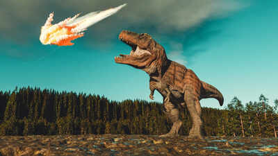 Scientists identify rare ‘oddball’ meteorite behind mass extinction of dinosaurs 66 million years ago