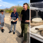 Retired police officer discovers an exceptionally rare white rattlesnake in Arizona, “once-in-a-lifetime” find