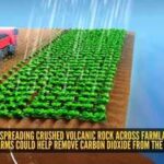 Scientists are spreading crushed volcanic rock across farmland; here's how ordinary farms could help remove carbon dioxide from the atmosphere
