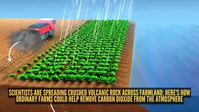 Scientists are spreading crushed volcanic rock across farmland; here's how ordinary farms could help remove carbon dioxide from the atmosphere