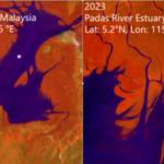 Satellite images reveal global mangrove recovery: Nasa study shows forests springing back, but rising seas could still drown them