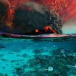 Scientists may have solved the 252 million-year-old mystery behind Earth's greatest mass extinction