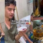 “I ate a raw, still-pumping snake heart”: This hidden snake village near Hanoi offers one of Vietnam's wildest travel experiences