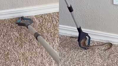 Snake hiding inside tiny bedroom floor hole leaves internet stunned; Rescuer safely captures it