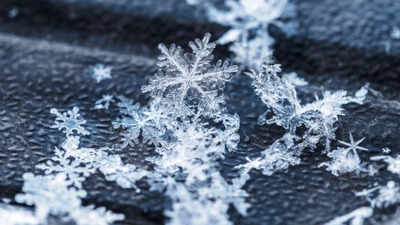 Canadian proverb of the day: 'No snowflake lands the same twice' — Even the smallest moments in life never repeat in the same way, no matter how similar they seem