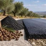 Spain is turning millions of discarded olive pits into road material that could store carbon for decades and cut asphalt emissions by up to 75%