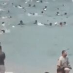 Spain migrant crisis: Military deployed as thousands cross border; 9 killed