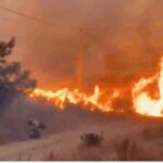 Watch: Massive wildfire turns sky orange in southern Spain as death toll rises to 12
