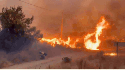 Watch: Massive wildfire turns sky orange in southern Spain as death toll rises to 12