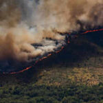 'All out of control': Spain invokes first wildfire emergency as fires rage across Europe; over 10,000 evacuated