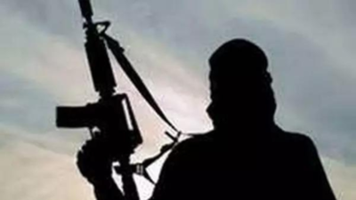 2,500 detained, homes of 2 LeT terrorists razed in Kashmir after cop killing