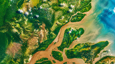 The Amazon is the world's largest river, yet not a single bridge crosses its main channel