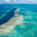 Scientists mapped the invisible microbiome of the Great Barrier Reef and found more than 500 new bacterial species and over 300,000 viruses in its waters