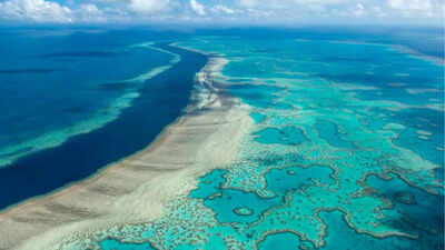 Scientists mapped the invisible microbiome of the Great Barrier Reef and found more than 500 new bacterial species and over 300,000 viruses in its waters