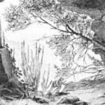 Grass burned for magic, healing and cursing: 25,000-year-old cave discovery reveals ancient Australian rituals