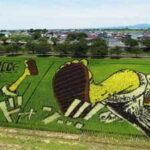This Japanese village hides giant artworks in its rice fields: From Tanjiro to Napoleon, they only emerge every summer to mesmerise the world |
