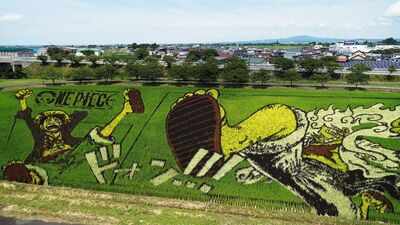This Japanese village hides giant artworks in its rice fields: From Tanjiro to Napoleon, they only emerge every summer to mesmerise the world |