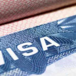 What happened to 'Green Cards stapled to diplomas': Attorney reacts to proposal of $100,000 OPT fee