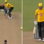 Tim David questions Pakistan bowler Usman Tariq's bowling action, gestures 'no-ball' after dismissal