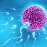 How IVF changed millions of lives: The story behind World IVF Day