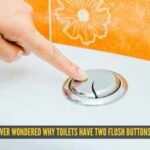Ever wondered why toilets have two flush buttons? Here's what each one actually does