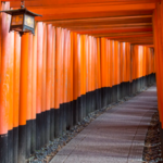 Why does this street in Japan look like an endless tunnel of red gates: The fascinating story behind thousands of vermilion ‘torii’
